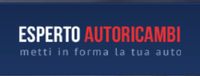 Esperto Autoricambi