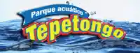 Tepetongo